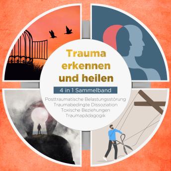 [German] - Trauma erkennen und heilen - 4 in 1 Sammelband: Posttraumatische Belastungsstörung | Traumabedingte Dissoziation | Toxische Beziehungen | Traumapädagogik
