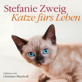 Katze fürs Leben, Audio book by Stefanie Zweig