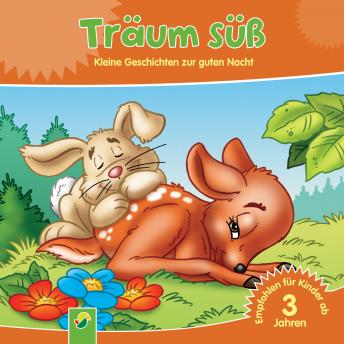 [German] - Träum süß: Kleine Geschichten zur guten Nacht