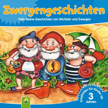 Zwergengeschichten: Viele kleine Geschichten von Wichteln und Zwergen, Audio book by Petra Dais, Gisela Fischer