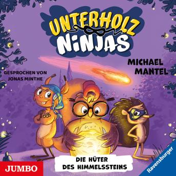 [German] - Unterholz-Ninjas. Die Hüter des Himmelssteins [2]