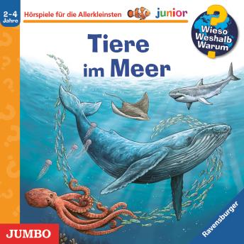 [German] - Tiere im Meer  [Wieso? Weshalb? Warum? JUNIOR Folge 57]