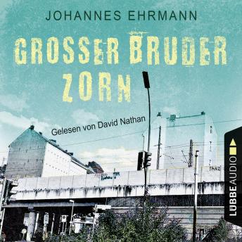 [German] - Großer Bruder Zorn (Ungekürzt)