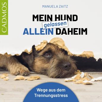 [German] - Mein Hund gelassen allein daheim: Wege aus dem Trennungsstress