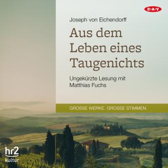 Aus dem Leben eines Taugenichts, Audio book by Joseph Von Eichendorff