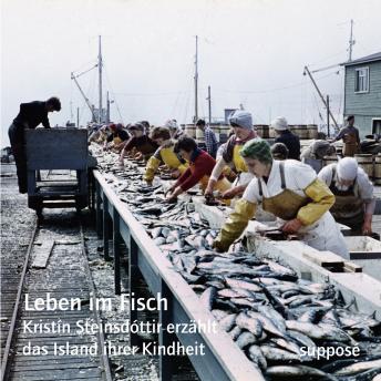 [German] - Leben im Fisch: Kristín Steinsdóttir erzählt das Island ihrer Kindheit