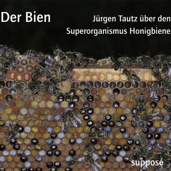 [German] - Der Bien: Jürgen Tautz über den Superorganismus Honigbiene