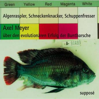 [German] - Algenraspler, Schneckenknacker, Schuppenfresser: Über den evolutionären Erfolg der Buntbarsche