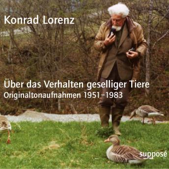 [German] - Über das Verhalten geselliger Tiere: Originaltonaufnahmen 1951-1983