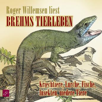 [German] - Brehms Tierleben - Kriechtiere, Lurche, Fische, Insekten, niedere Tiere