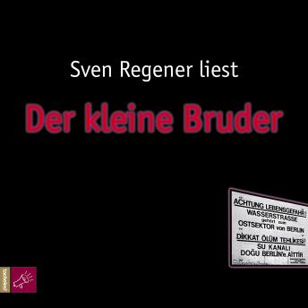 [German] - Der kleine Bruder - Der Herr Lehmann-Kosmos, Band 3 (Ungekürzt)