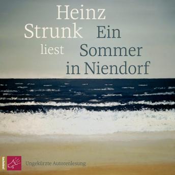 [German] - Ein Sommer in Niendorf (Ungekürzt)