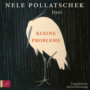 [German] - Kleine Probleme (Ungekürzt)