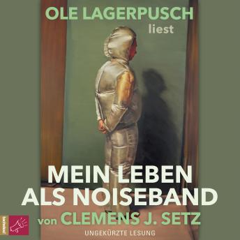 [German] - Mein Leben als Noiseband - Erzählungen (ungekürzt)