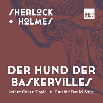 [German] - Der Hund von Baskerville - Sherlock Holmes - Die Romane, Band 3 (ungekürzt)