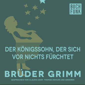 [German] - Der Königssohn, der sich vor nichts fürchtet