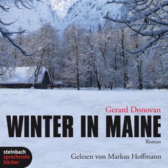 [German] - Winter in Maine (Ungekürzt)