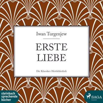 [German] - Erste Liebe (Ungekürzt)
