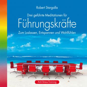 [German] - Führungskräfte: Drei geführte Meditationen für Führungskräfte (ungekürzt)