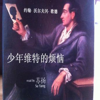 [Mandarin] - Die Leiden des jungen Werthers (in chinesischer Sprache): Ein Briefroman