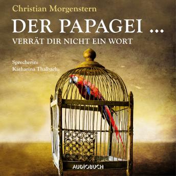 [German] - Der Papagei ... verrät Dir nicht ein Wort