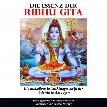 Download Die Essenz der Ribhu Gita: Die makellose Erleuchtungsschrift der Vedanta in Auszügen by Peter Bernhard