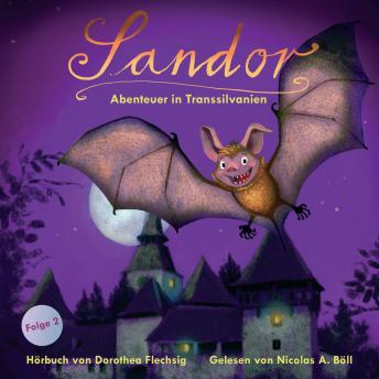 [German] - Sandor – Abenteuer in Transsilvanien: Eine tolle Fortsetzung des ersten Buches. Jendrik und seine Familie fliegen nun in den Urlaub nach Transsilvanien und bereits am Flughafen wird es spannend und abenteuerlich.