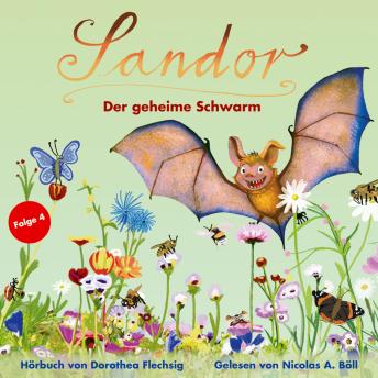 [German] - Sandor Der geheime Schwarm: Neues Abenteuer der sprechenden Fledermaus | Spannendes Hörbuch für Kinder ab 8 Jahren | Kinderkrimi über Umwelt und Tierschutz | als CD oder Download