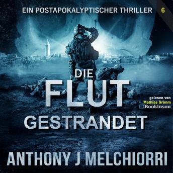 [German] - Die Flut: Gestrandet: Die Flut - Buch 06, Postapokalyptischer Thriller
