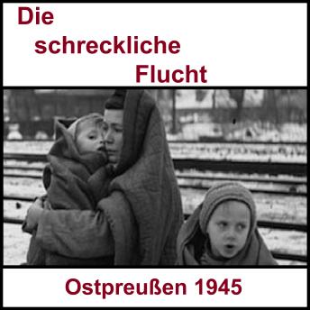 Download Die schreckliche Flucht: Ostpreußen 1945 und der lange Weg zurück by Familie Steinhoff