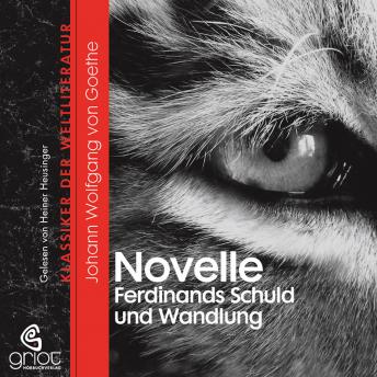 [German] - Die Novelle / Ferdinands Schuld und Wandlung