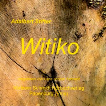 [German] - Witiko: Historischer Roman