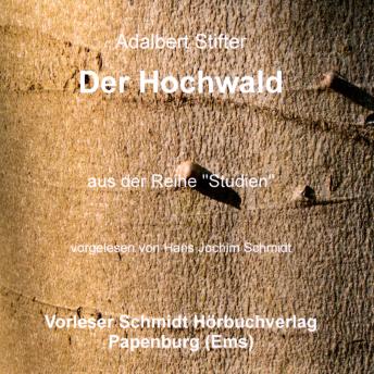 [German] - Der Hochwald: Erzählung
