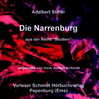 [German] - Die Narrenburg: Erzählung