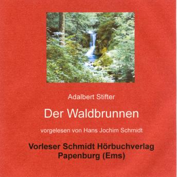[German] - Der Waldbrunnen: Erzählung