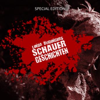 [German] - Linda Budingers SCHAUERGESCHICHTEN: Special Edition