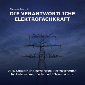 [German] - Die Verantwortliche Elektrofachkraft: VEFK-Struktur und Betriebliche Elektrosicherheit für Unternehmer, Fach und Führungskräfte