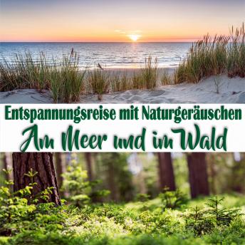 [German] - Entspannungsreise mit Naturgeräuschen: Am Meer und im Wald