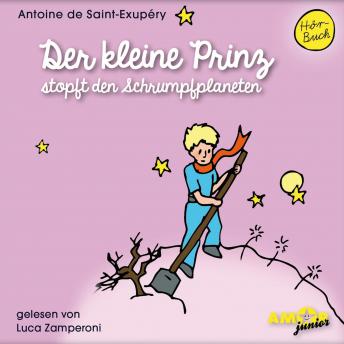 [German] - Der kleine Prinz stopft den Schrumpfplaneten - Der kleine Prinz, Band 7 (Ungekürzt)