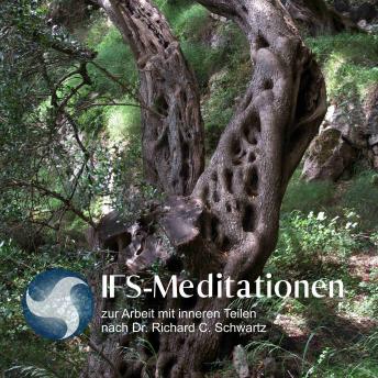 [German] - IFS-Meditationen zur Arbeit mit inneren Teilen nach Dr. Richard C. Schwartz