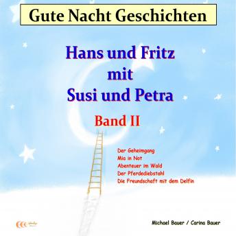 [German] - Gute-Nacht-Geschichten: Hans und Fritz mit Susi und Petra - Band II: Wunderschöne Einschlafgeschichten für Kinder bis 12 Jahren