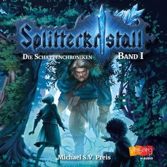 [German] - Splitterkristall: Die Schattenchroniken Band 1