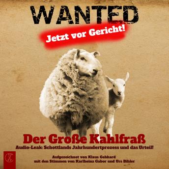 [German] - Der Große Kahlfraß: Audio-Leak: Schottlands Jahrhundertprozess und das Urteil!