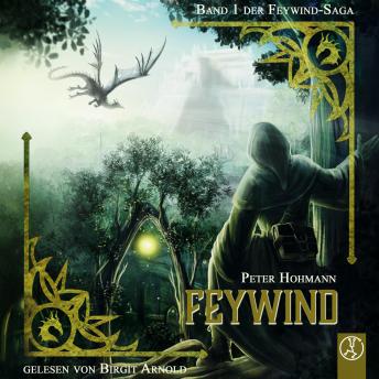 [German] - Feywind-Saga 1 - Feywind