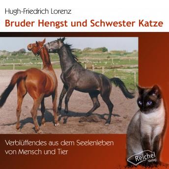 [German] - Bruder Hengst und Schwester Katze: Verblüffendes aus dem Seelenleben von Mensch und Tier