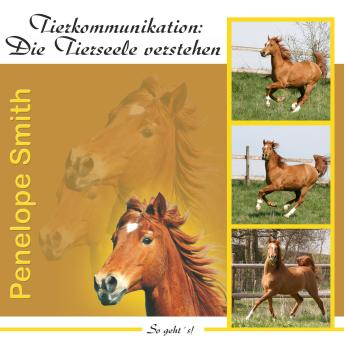 [German] - Tierkommunikation: Die Tierseele verstehen: So geht's!