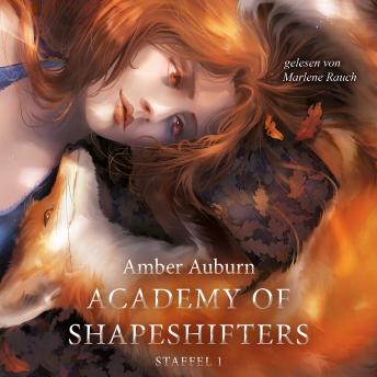 Download Academy of Shapeshifters - Staffel 1 by Amber Auburn