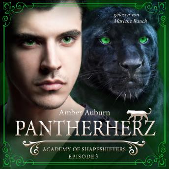 [German] - Pantherherz, Episode 3 - Fantasy-Serie: Academy of Shapeshifters