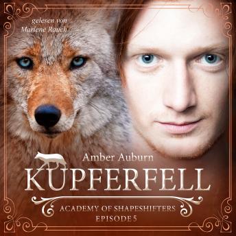 [German] - Kupferfell, Episode 5 - Fantasy-Serie: Academy of Shapeshifters