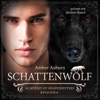 [German] - Schattenwolf, Episode 6 - Fantasy-Serie: Academy of Shapeshifters